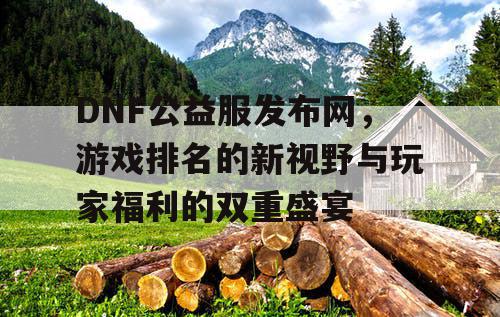 DNF公益服发布网，游戏排名的新视野与玩家福利的双重盛宴