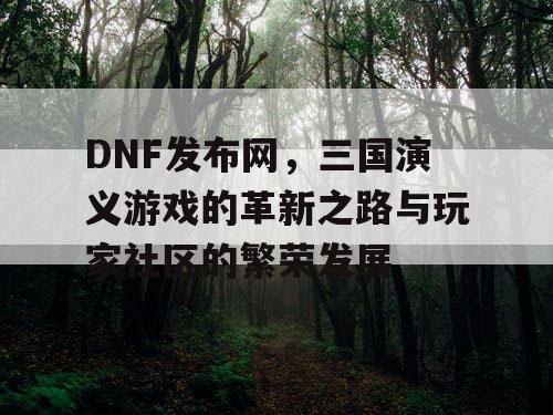 DNF发布网，三国演义游戏的革新之路与玩家社区的繁荣发展