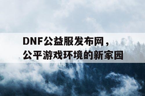 DNF公益服发布网，公平游戏环境的新家园