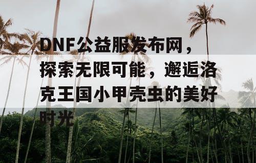 DNF公益服发布网，探索无限可能，邂逅洛克王国小甲壳虫的美好时光