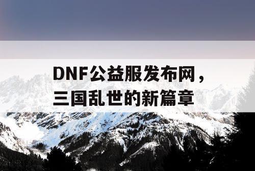 DNF公益服发布网，三国乱世的新篇章