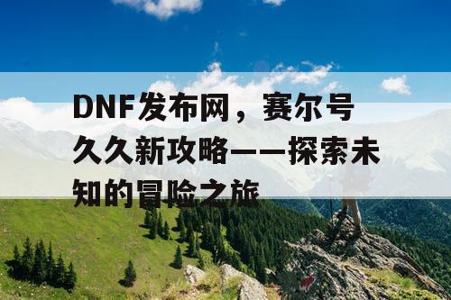 DNF发布网，赛尔号久久新攻略——探索未知的冒险之旅