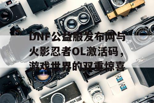 DNF公益服发布网与火影忍者OL激活码，游戏世界的双重惊喜