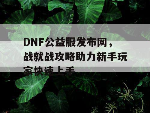 DNF公益服发布网，战就战攻略助力新手玩家快速上手